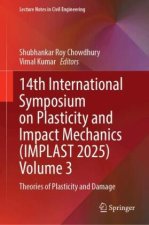 14th International Symposium on Plasticity and Impact Mechanics (IMPLAST 2025) Volume 3