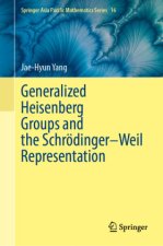 Generalized Heisenberg Groups and the Schrödinger-Weil Representation