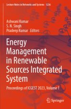 Energy Management in Renewable Sources Integrated System