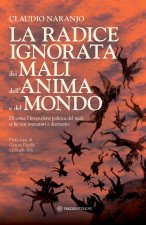 radice ignorata dei mali dell'anima e del mondo. Di come l'invenzione politica del male ci ha resi immaturi e distruttivi