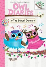 The School Dance: A Branches Book (Owl Diaries #24)