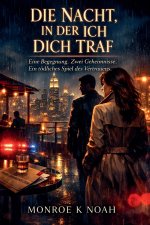 Die Nacht, In Der Ich Dich Traf