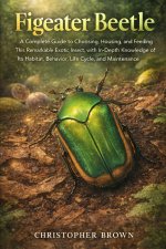 Figeater Beetle