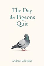 The Day The Pigeons Quit