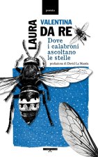 Dove i calabroni ascoltano le stelle