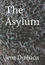 The Asylum
