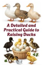 A Detailed and Practical Guide to Raising Ducks
