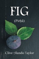 FIG