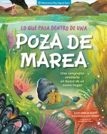 Lo Que Pasa Dentro de Una Poza de Marea
