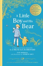 WINNIE-THE-POOH LITTLE HB+