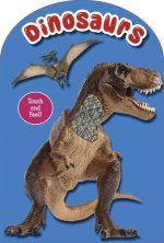 Dinosaurs Touch and Feel