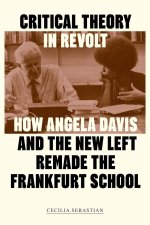 Critical Theory in Revolt