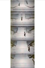 Peter Fischli. Addition, Subtraction, Multiplication