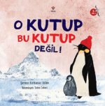 O Kutup Bu Kutup Degil