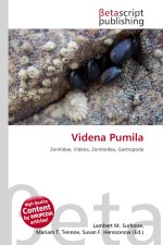 Videna Pumila