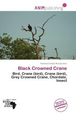 Black Crowned Crane