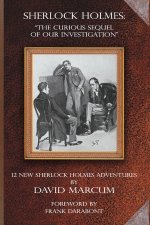 Sherlock Holmes - The Curious Sequel of Our Investigation