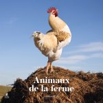 Calendrier 2027 animaux de la ferme