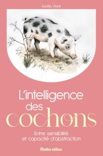 L'intelligence des cochons