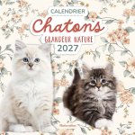 Calendrier Chatons grandeur nature 2027