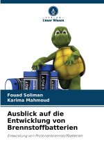Ausblick auf die Entwicklung von Brennstoffbatterien
