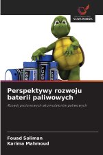 Perspektywy rozwoju baterii paliwowych