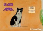 La gata Petra