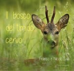 bosco del timido cervo