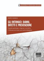 intonaci: danni, difetti e prevenzione. Degrado patologico: diagnosi e correttivi. Con casi studio dettagliati