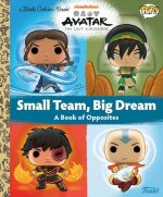 Avatar: The Last Airbender: Small Team, Big Dream (Funko Pop!)