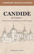 Candide de Voltaire