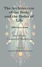 The Architecture of the Body and the Order of Life