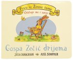 Gospa Zečić drijema