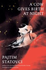 COW GIVES BIRTH AT NIGHT