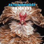 CAL 27 EXTRAORDINARY CHICKENS WALL