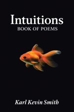 Intuitions