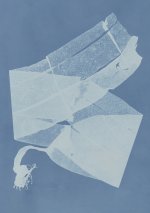 Carnet – Herbier des mers