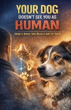 Your Dog Doesn't See You as Human (Here's What You Really Are to Them)