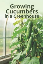 Growing Cucumbers in a Greenhouse