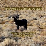 The Curious Little Donkey