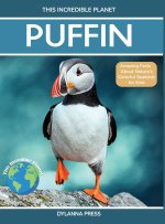 Puffin