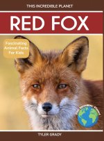 Red Fox