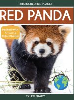 Red Panda