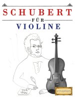 Schubert für Violine