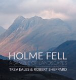 Holme Fell