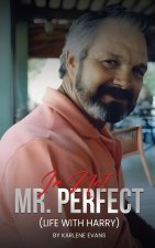 I'm Not Mr. Perfect