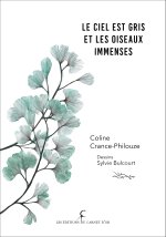 Le ciel est gris et les oiseaux immenses