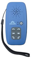 Bible Segond 21 audio - Modèle Kulumi X