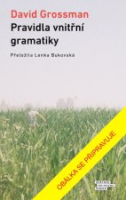 Pravidla vnitřní gramatiky