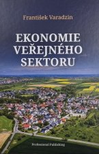 Ekonomie veřejného sektoru